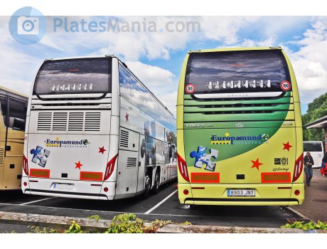 8903 JNY, Beulas Glory