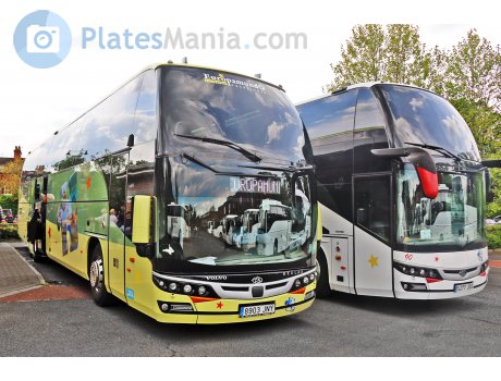 8903 JNY, Beulas Glory