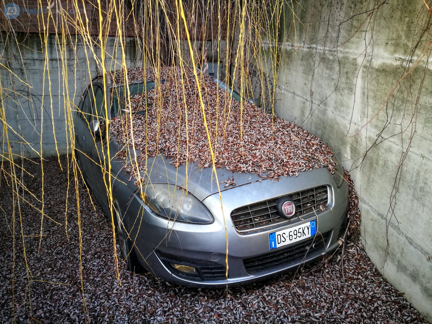 DS 695 KY, FIAT Croma 2nd gen (194), facelift, 2008–2010