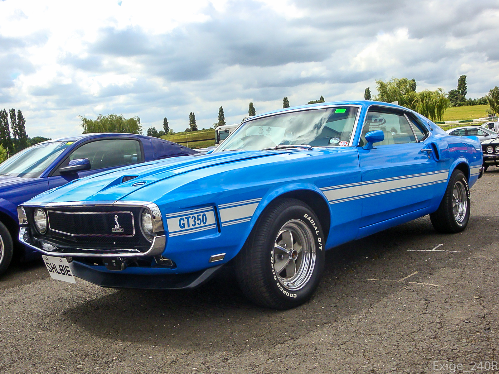 SHL81E, Ford Mustang 1st gen Shelby 2-door Fastback, 1964–1970