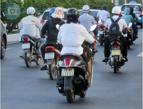 79-N1 319.04, Yamaha Nozza