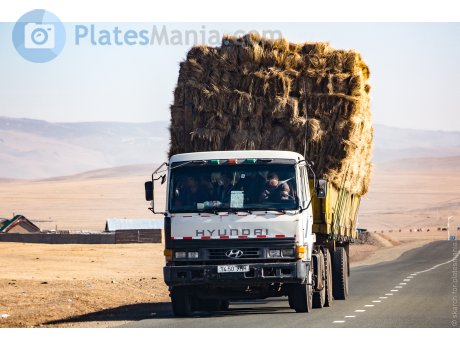 1450 УНН, Hyundai Truck