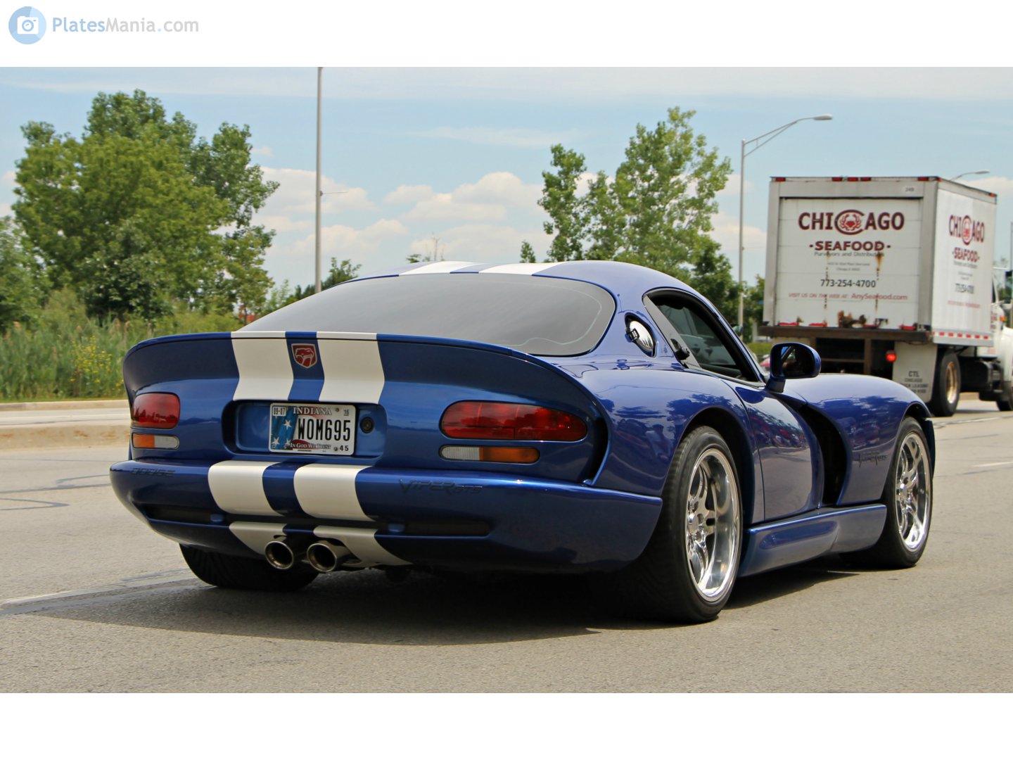 WOM695, Dodge Viper 2nd gen (SR II), 1996–2002