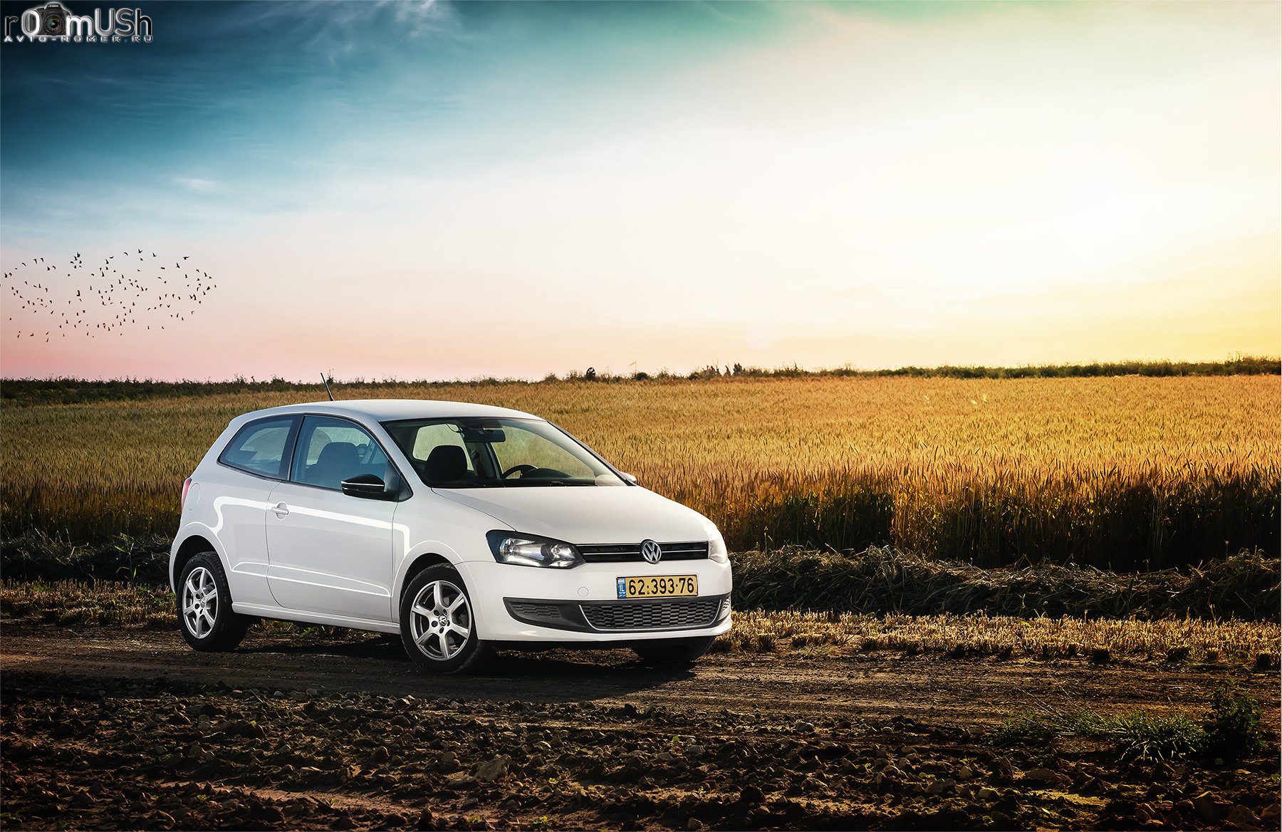 62-393-76, Volkswagen Polo 5th gen 3-door Hatch (6R), 2009–2014