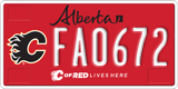 Alberta, Calgary Flames (FA1234)