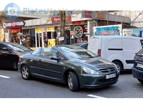 е135св163, Peugeot 307