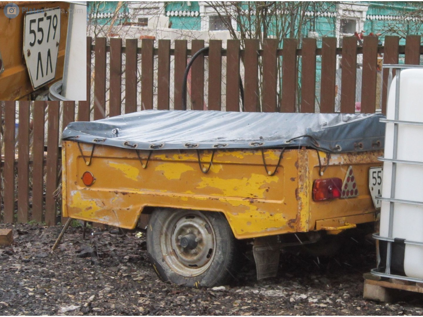 5579 ЛЛ, MAZ 8111/8114 