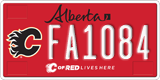 Alberta, Calgary Flames (FA1234)