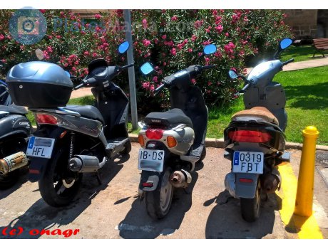 0319 FBT, Derbi Boulevard
