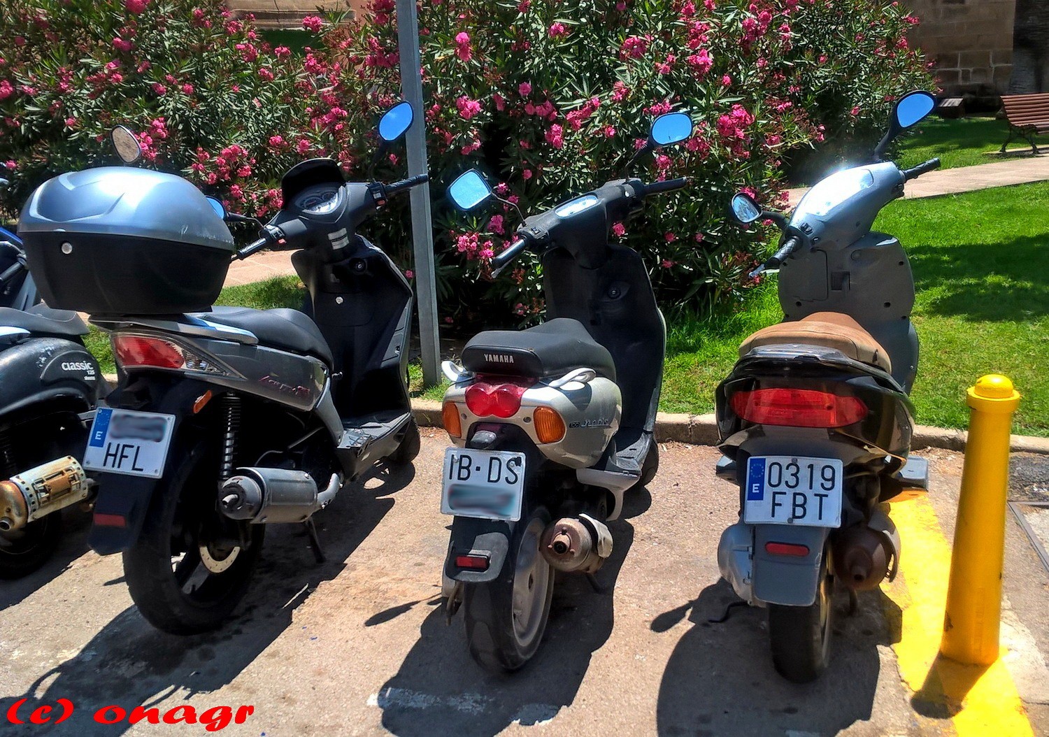 0319 FBT, Derbi Boulevard 