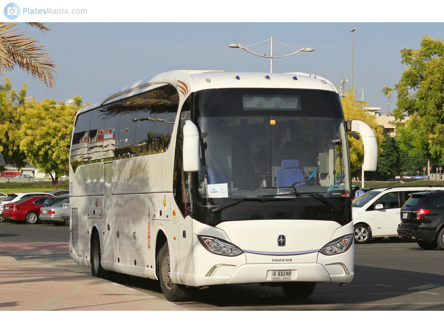 S 65240, Yaxing YBL-Series 