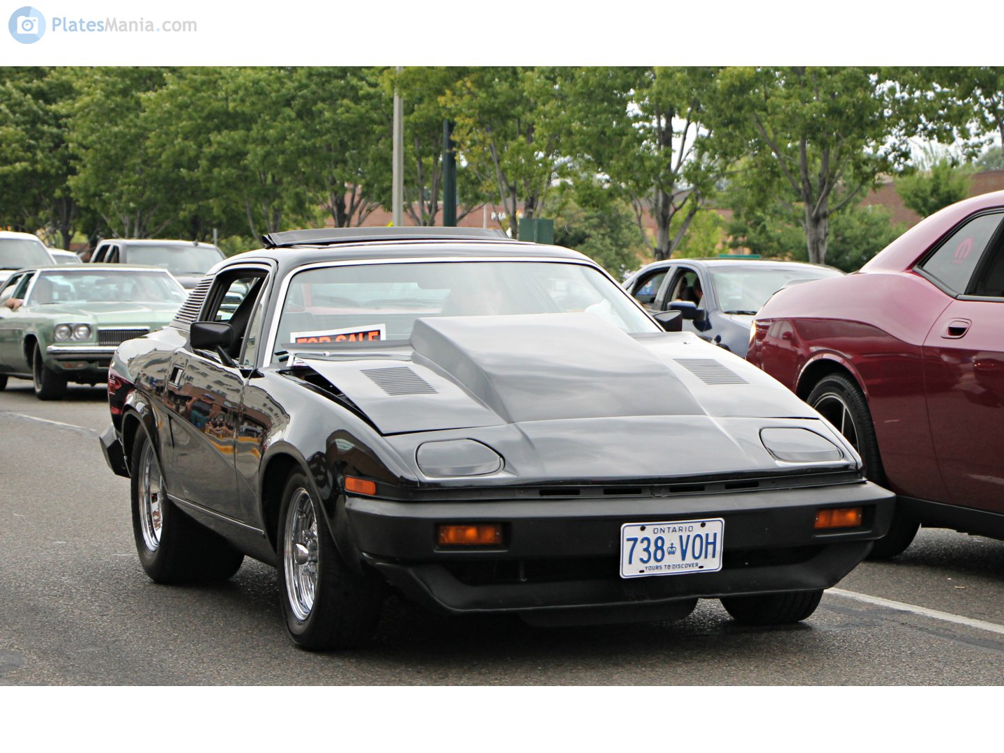 738-VOH, Triumph TR8 