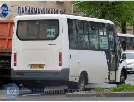 2 TAX 6256, GAZ ГАЗель Next