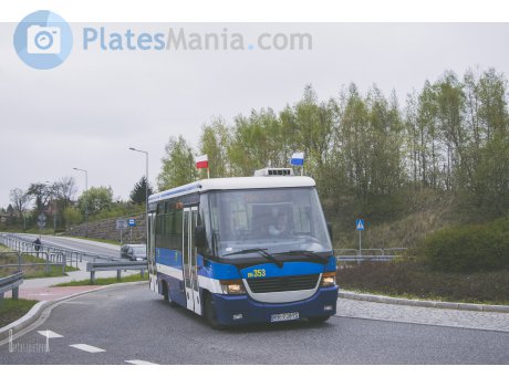 KR 9381S, Jelcz M081MB
