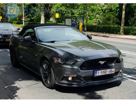 1-RND-464, Ford Mustang