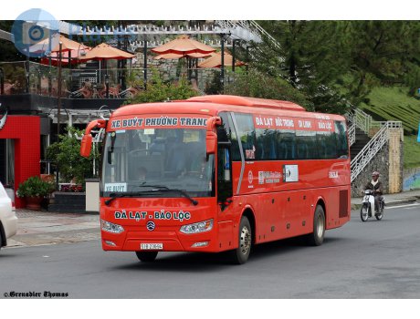 51B-236.94, Golden Dragon XML6126