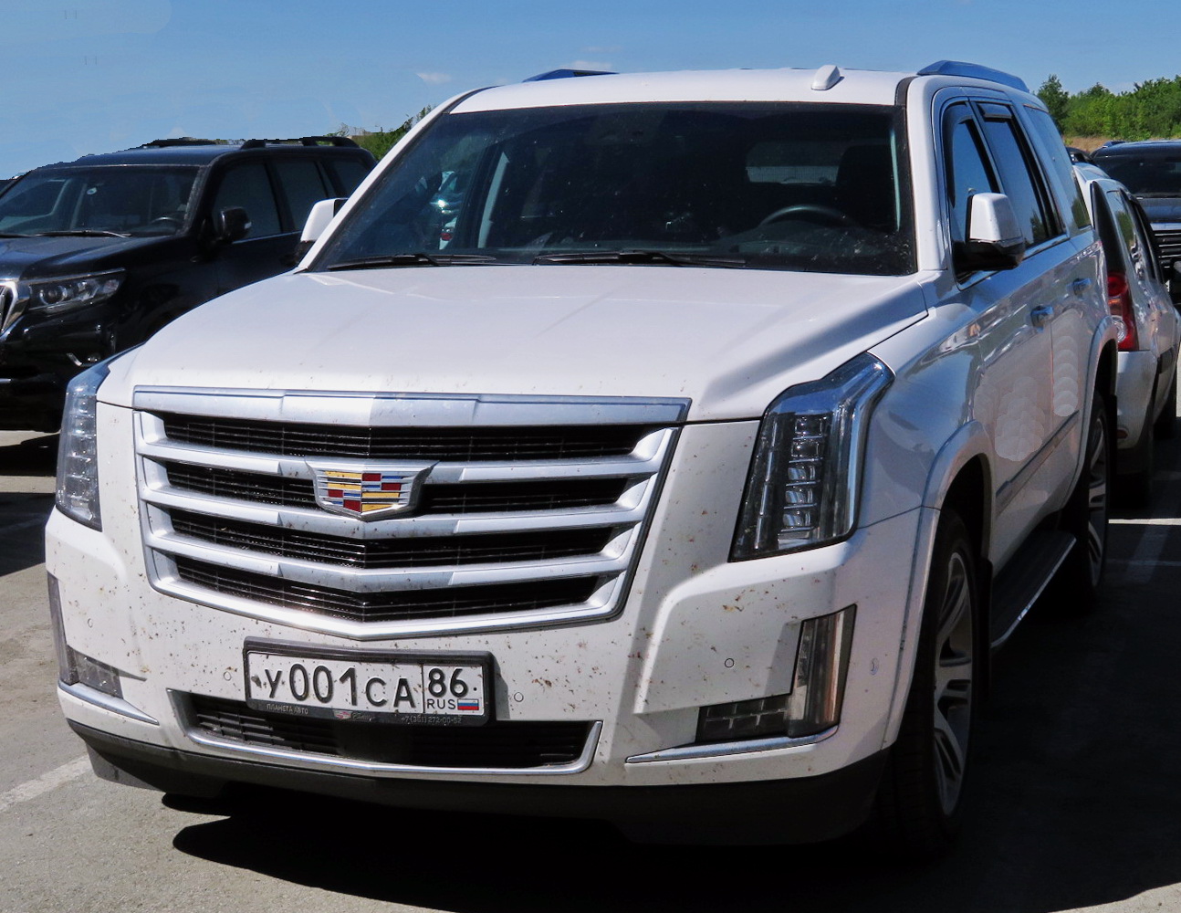 Эскалейд Купить Бу В России