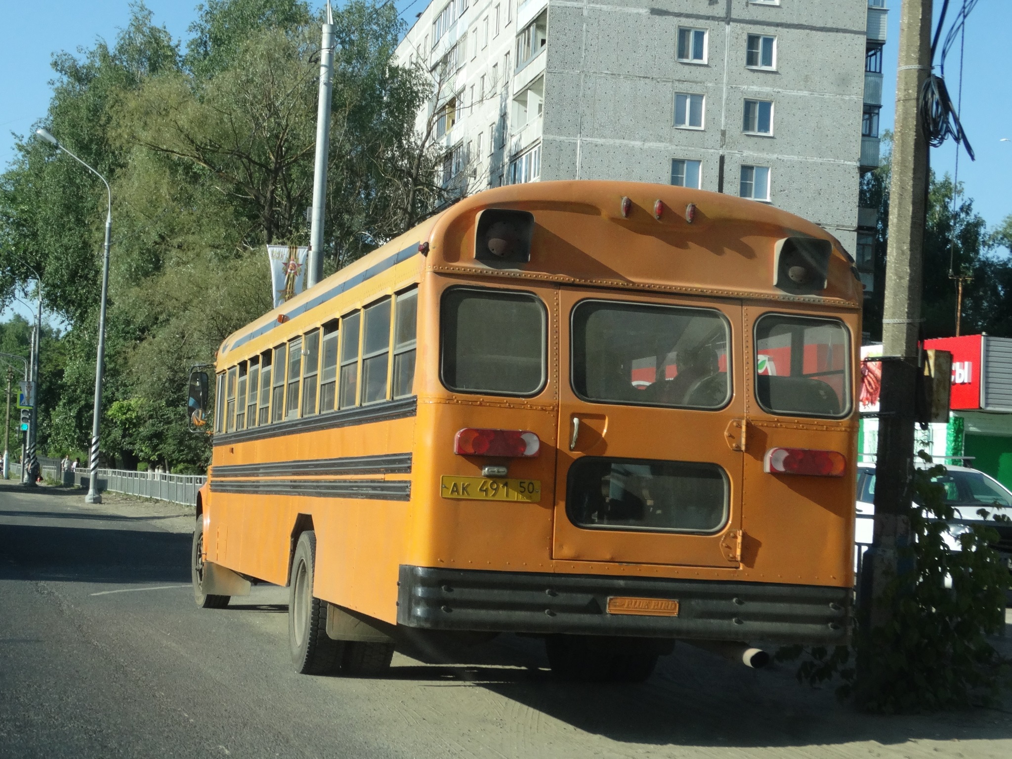 ак 491 50, Blue Bird Conventional 