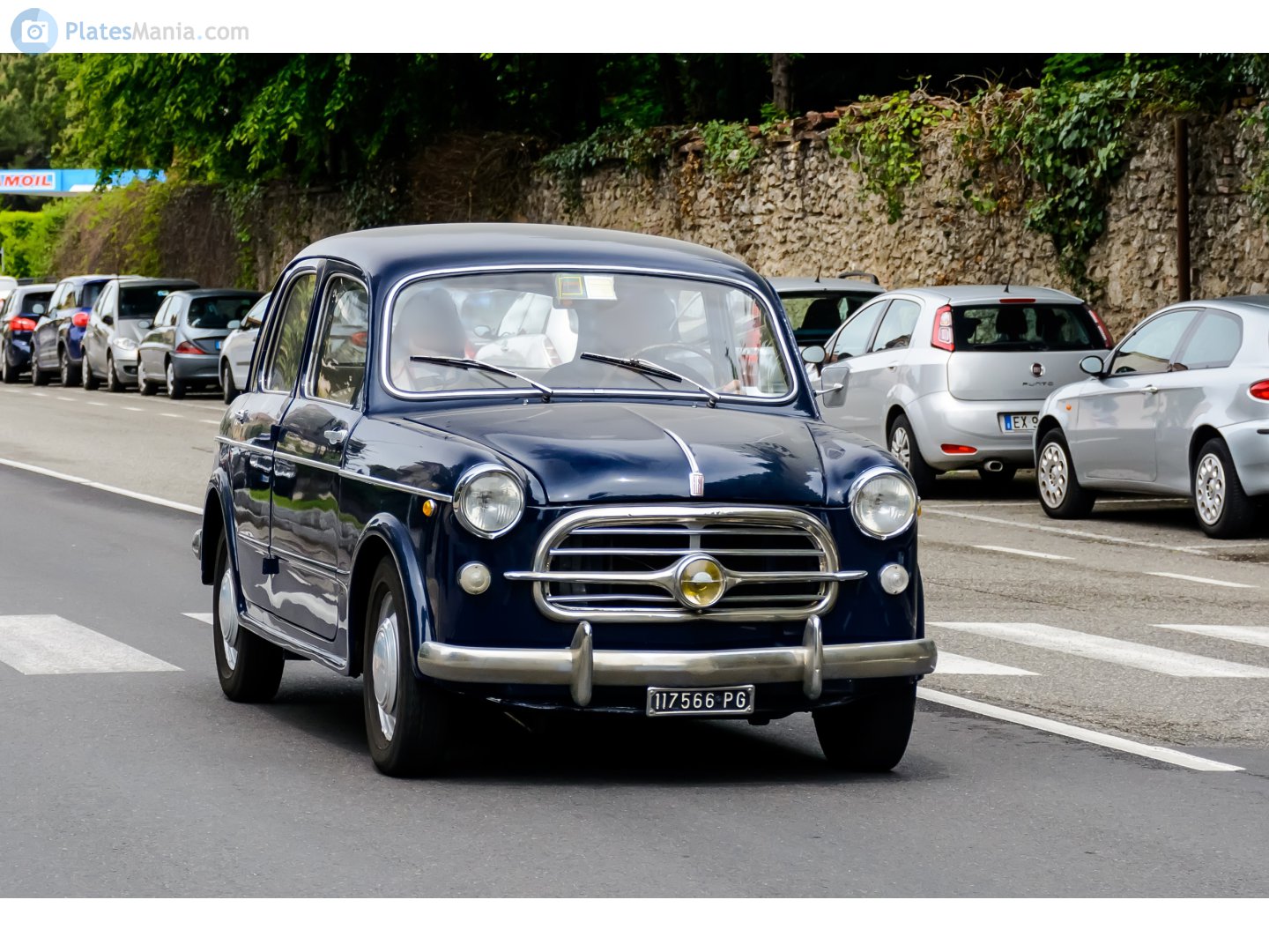 PG 117566, FIAT 1100 