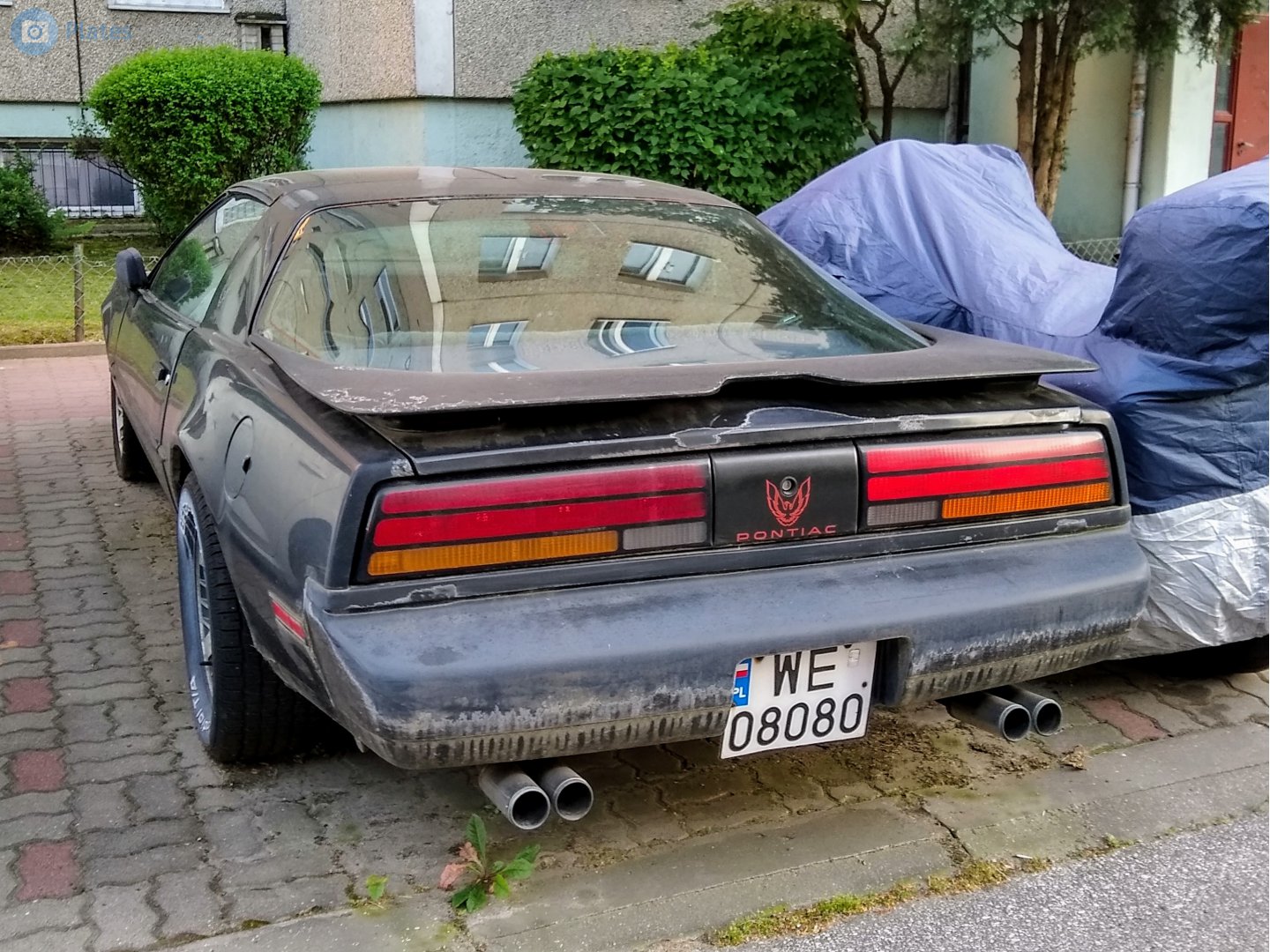 WE 08080, Pontiac Firebird 3rd gen Coupé (87; F-body), 1981–1990
