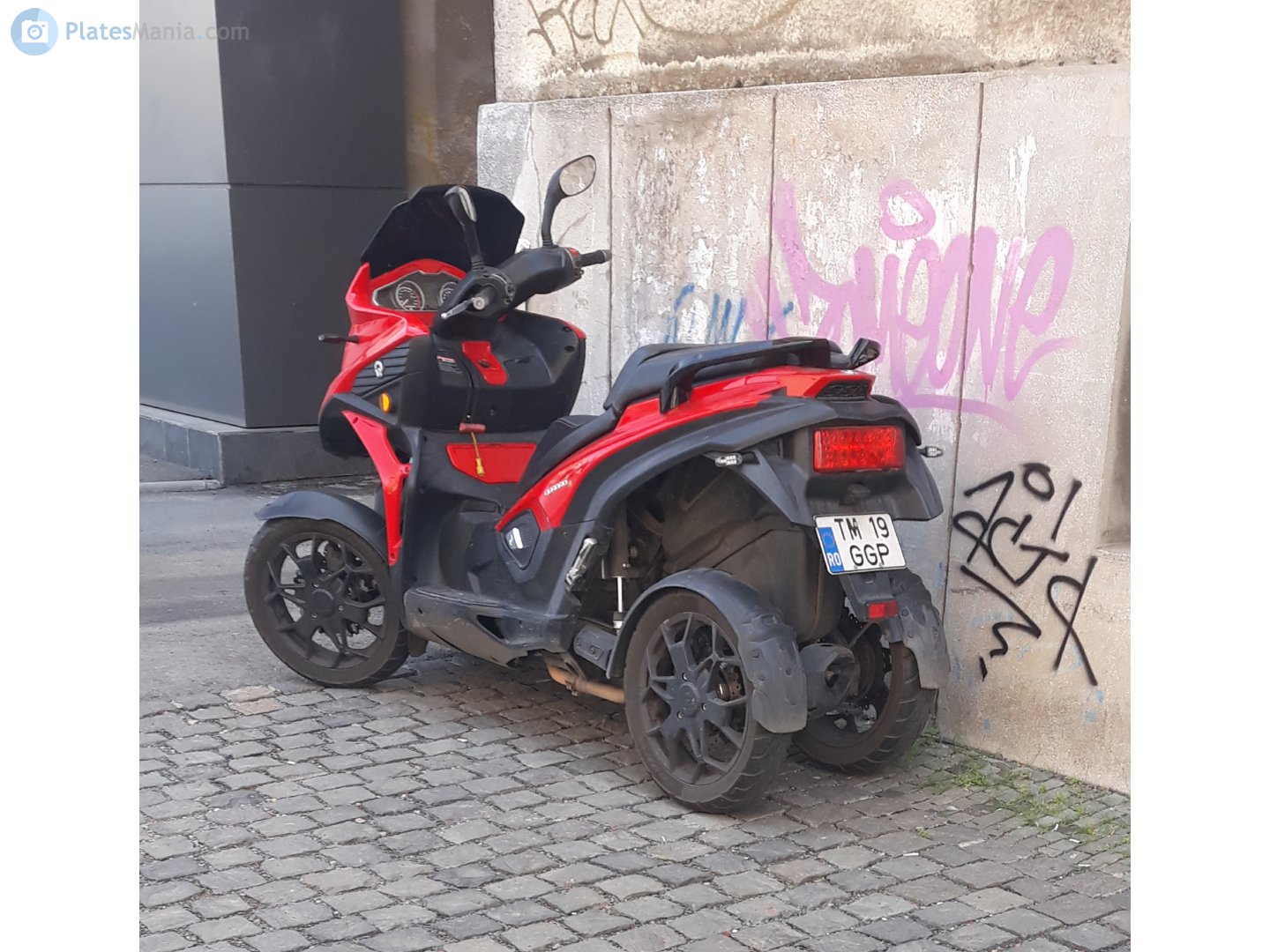 TM 19 GGP, Quadro QV4 