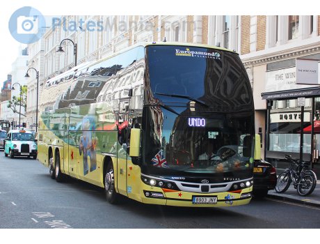 8903 JNY, Beulas Glory