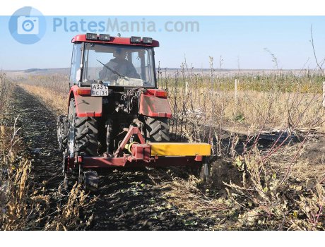 4331 ес 31, Belarus (MTZ) 921