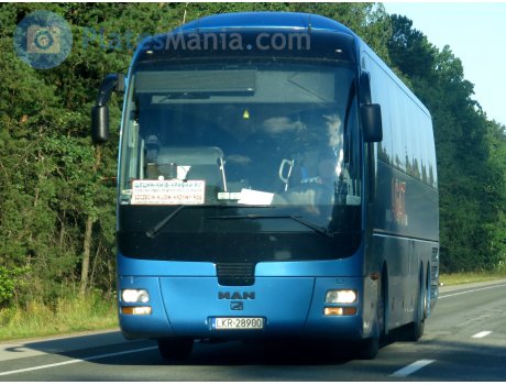 LKR 28900, MAN Lion