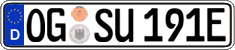 German license plate, Electric vehicles