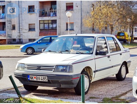 NK BV485, Peugeot 309