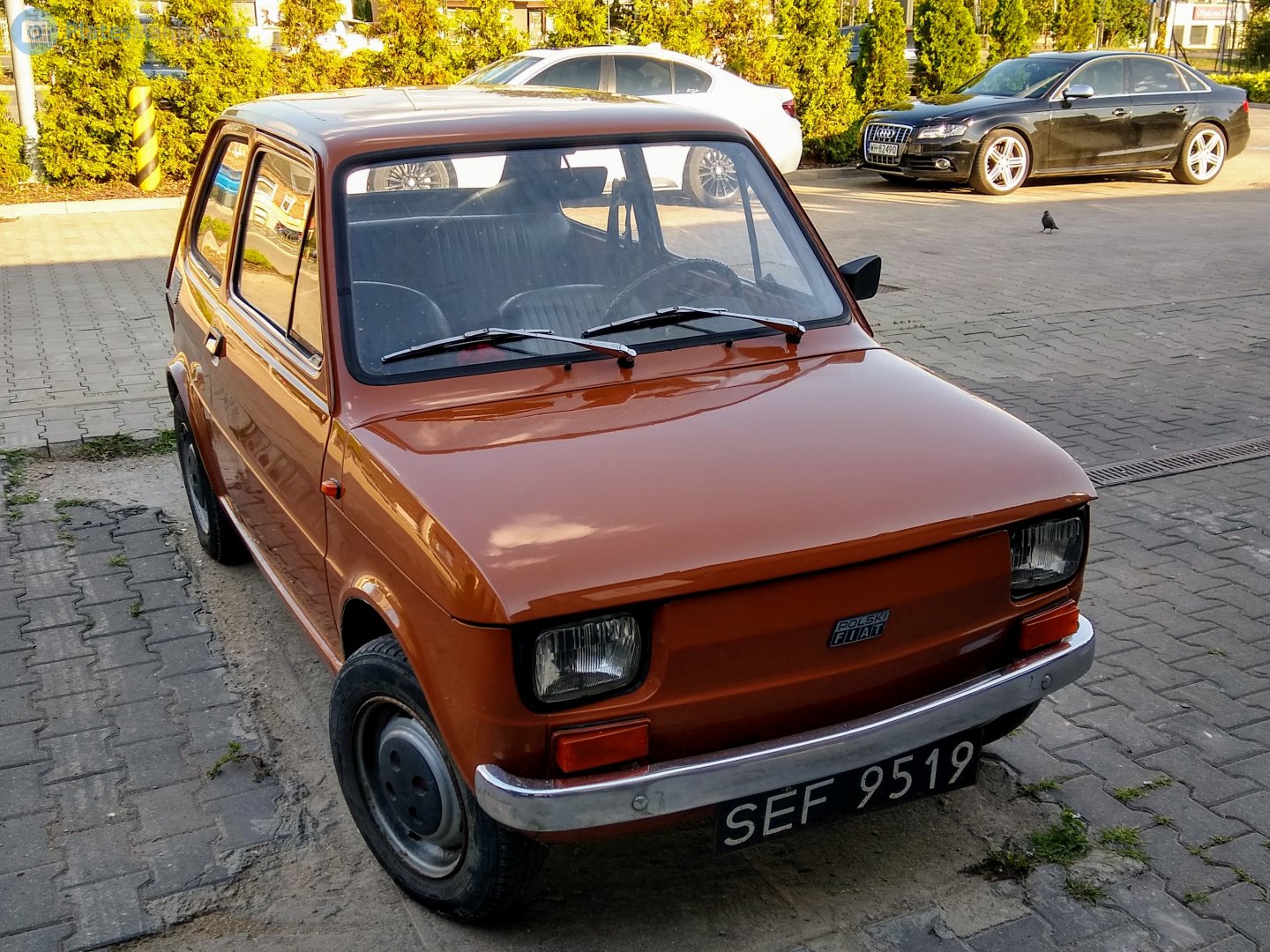 SEF 9519, Polski Fiat 126p 126p 600/650/FL, 1973–1994