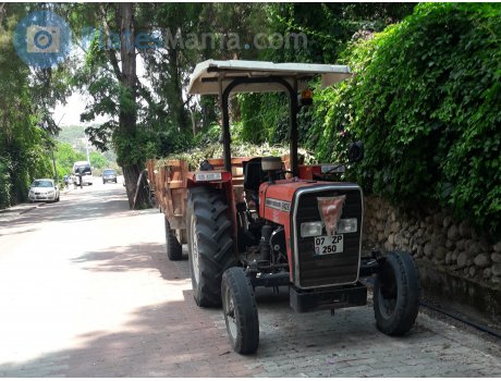 07 ZP 250, Massey Ferguson 200-Series