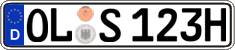 German license plate, Plates for oldtimers (type 