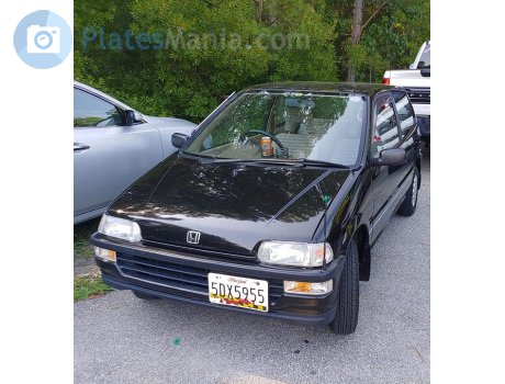 5DX5955, Honda Today