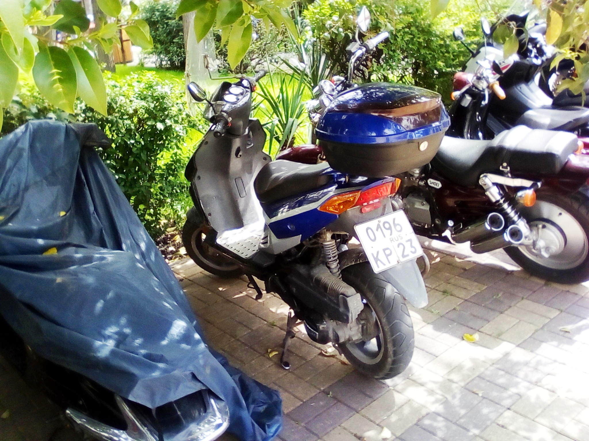 0196 кр 23, Stels Vortex 