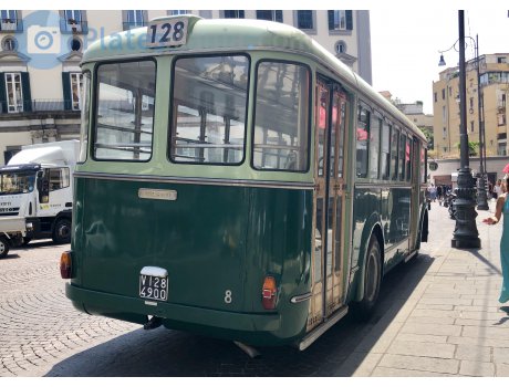 VI 284900, FIAT 600 Serie II Trucks
