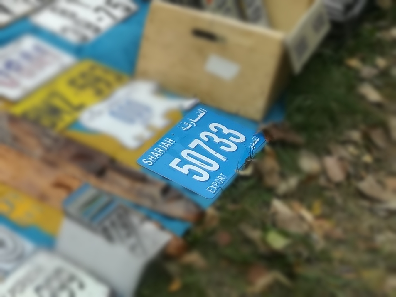 50733, License plate without vehicle 