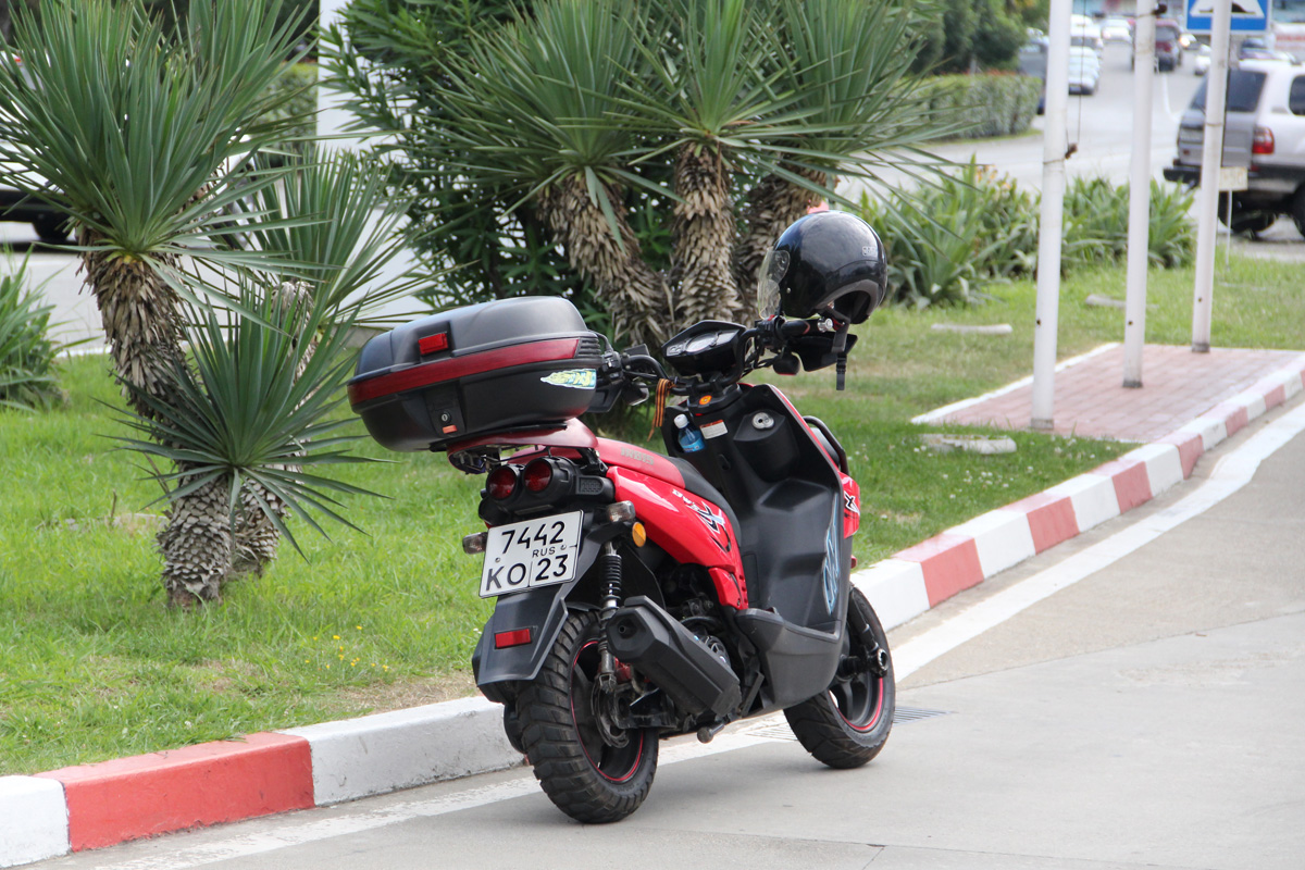 7442 ко 23, Irbis BWS 