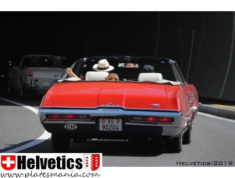 VS 90204, Buick Skylark