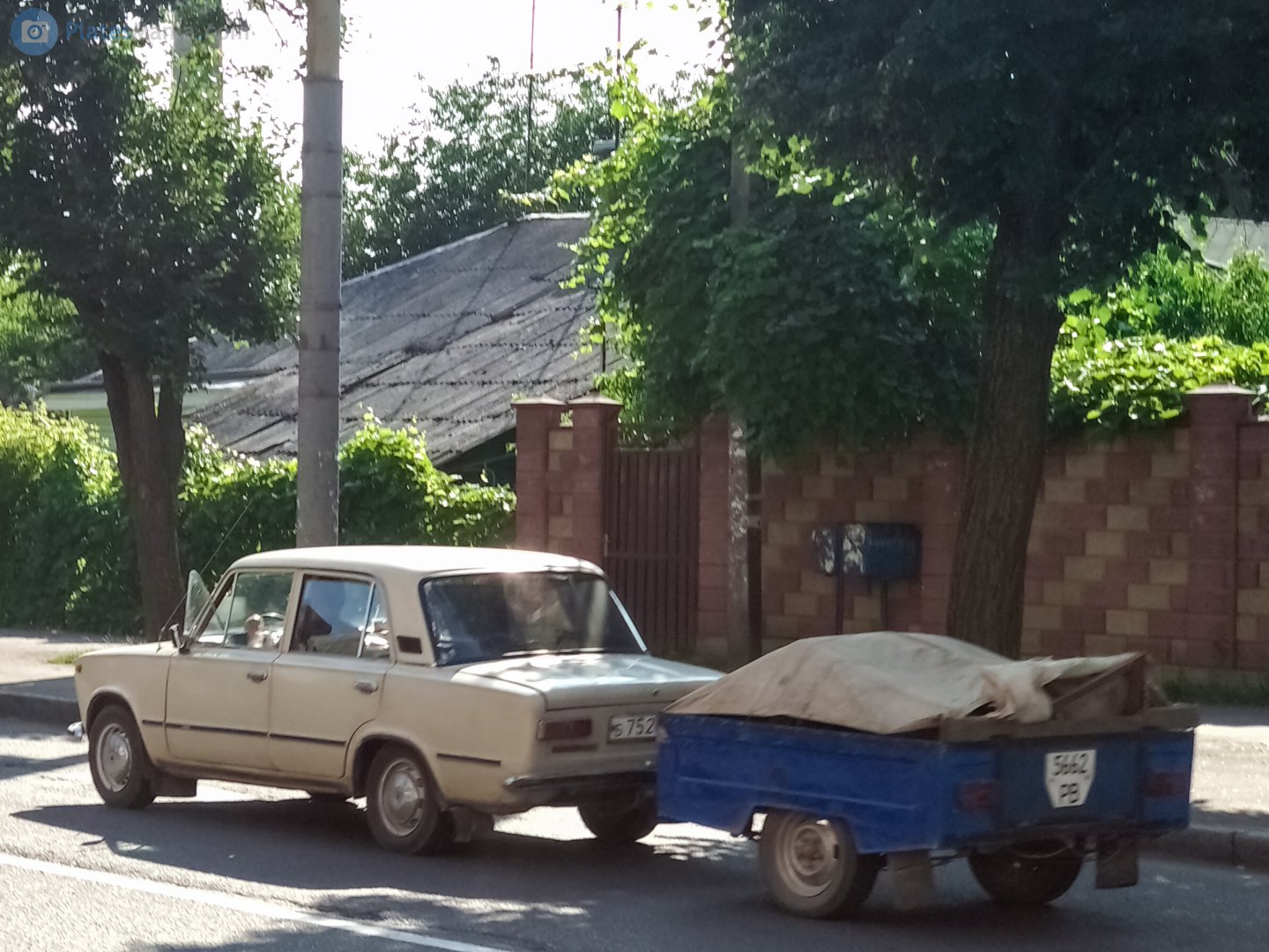 5662 РВ, MAZ 8111/8114 