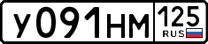 License plate Russia, Cars