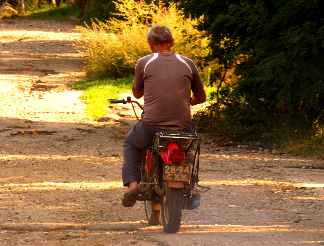 2894 СХЖ, Minsk (M1nsk, MMVZ) 