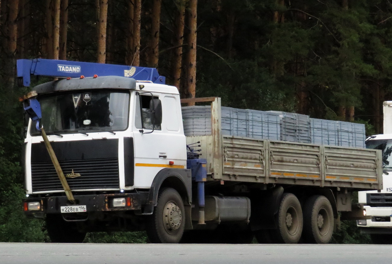 к 228 ев 196, MAZ 6303 