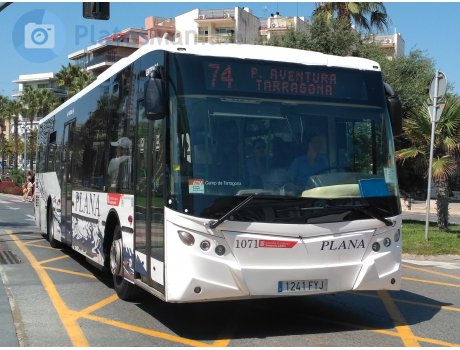 1241 FYJ, Castrosúa Magnus II