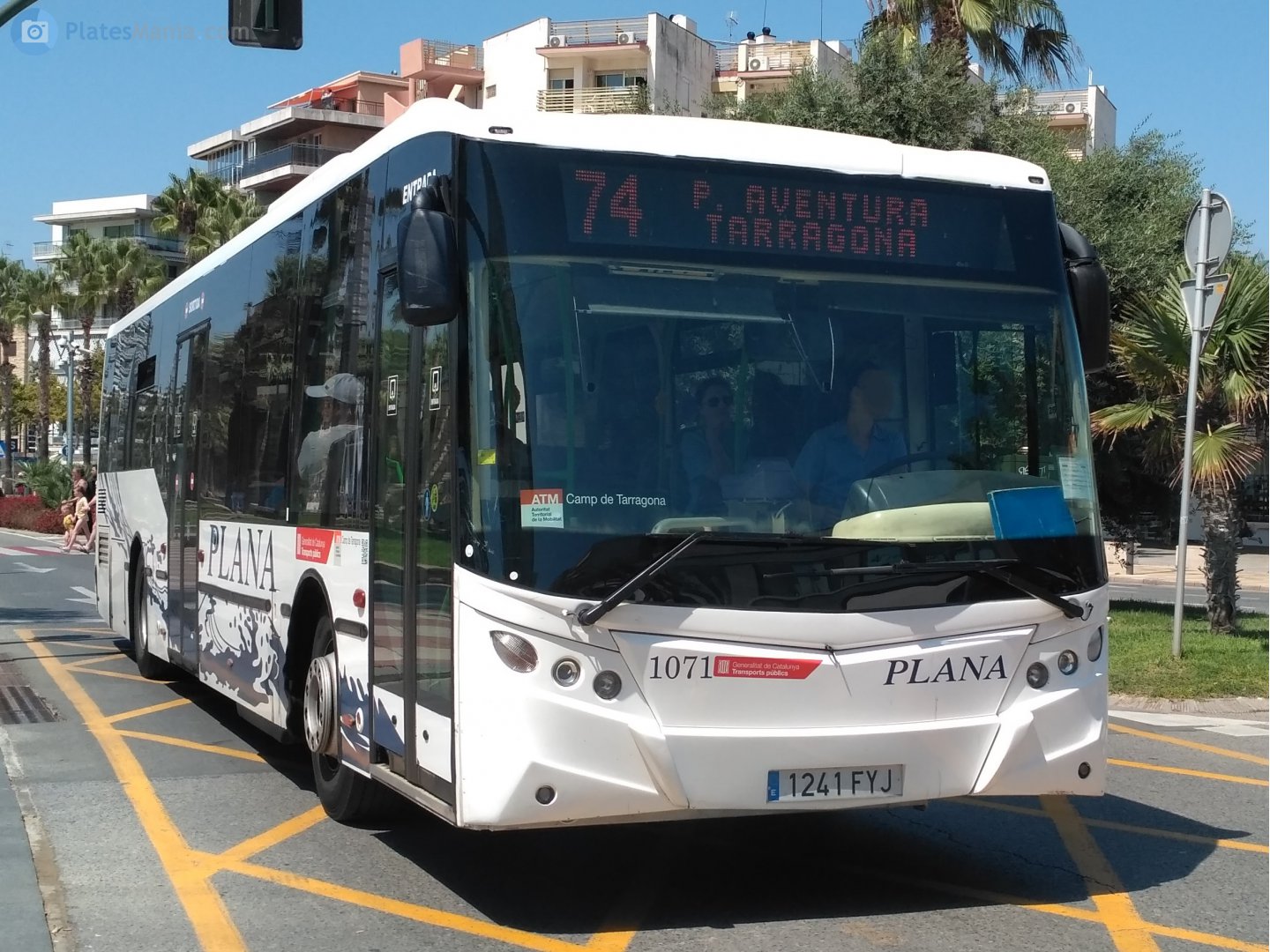 1241 FYJ, Castrosúa Magnus II 