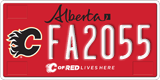 Alberta, Calgary Flames (FA1234)