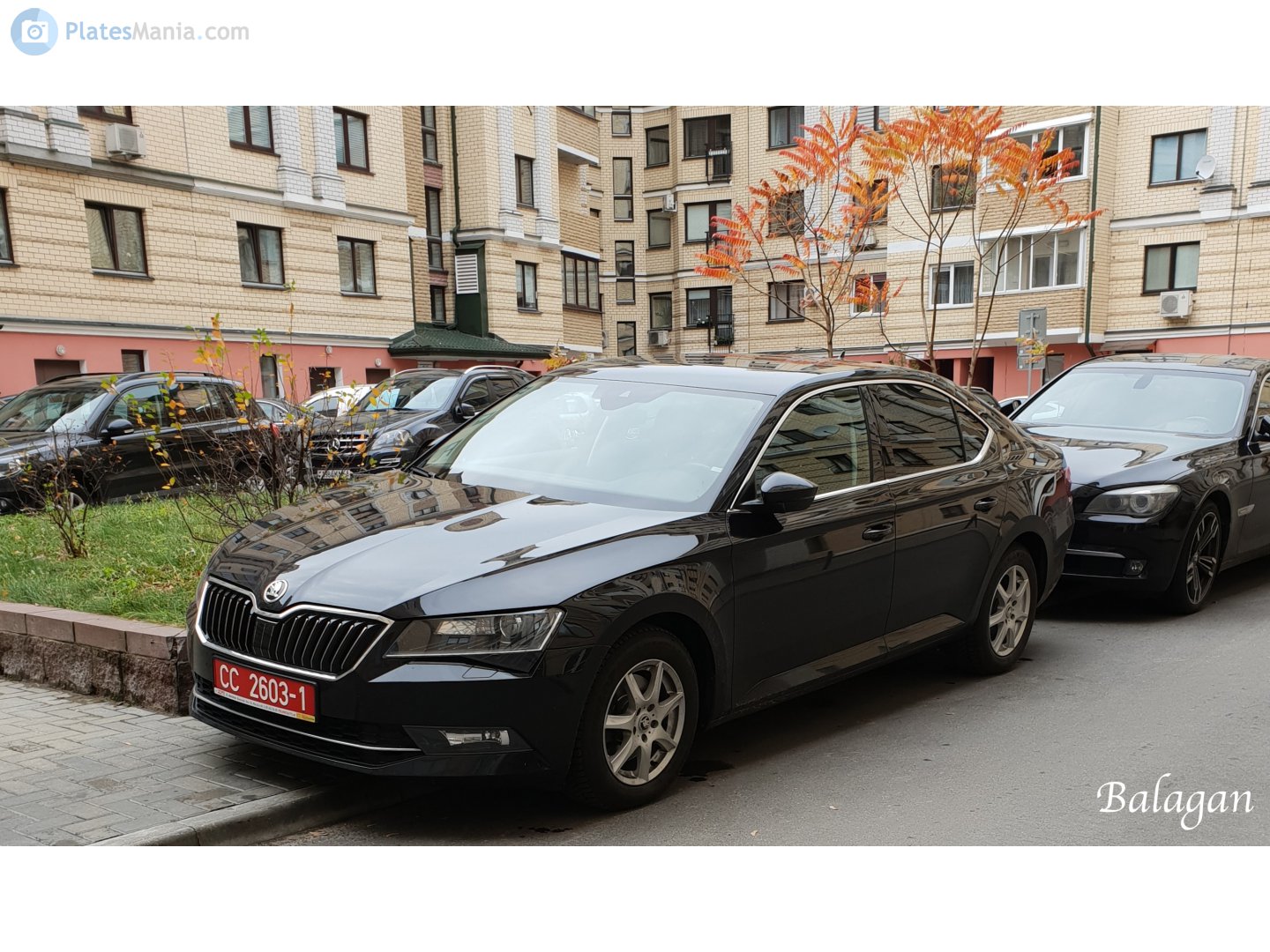 CC 2603-1, Skoda Superb 3rd gen Liftback (B8/3V3), 2015–2019