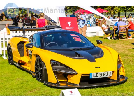 LD18 RJJ, McLaren Senna