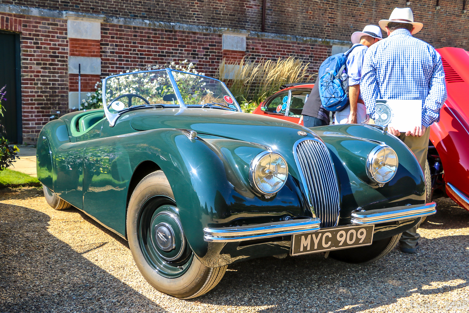 MYC909, Jaguar XK120 