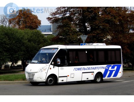 AM 0983-3, Neman 4202